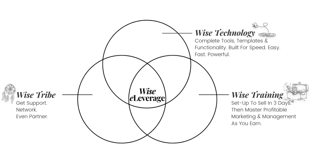 Wise eLeverage infographic showing the multiplier effect created when wise solutions work together