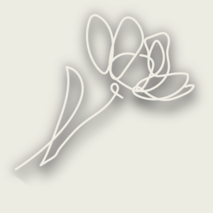 The Wise Women Network- Wise Life Avatar