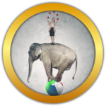 The Wise Partner Program balancing elephant