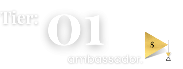 WISE AMBASS STEP 1